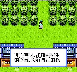 神奇宝贝 (简)在线玩